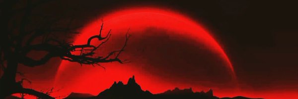 AirdropRaven Profile Banner