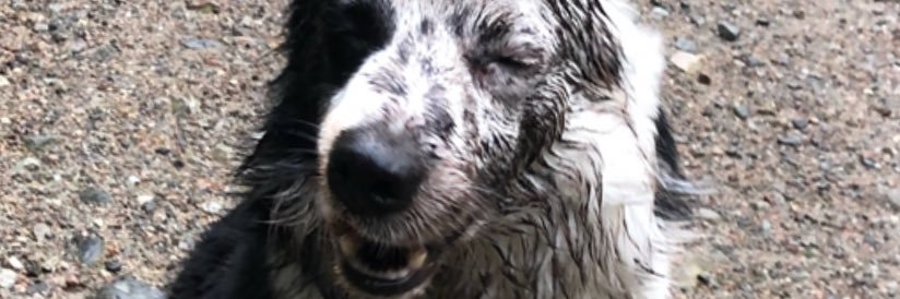 WadeeLeon's profile banner image