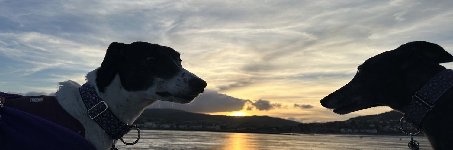 Matthew Clements-Wheeler banner