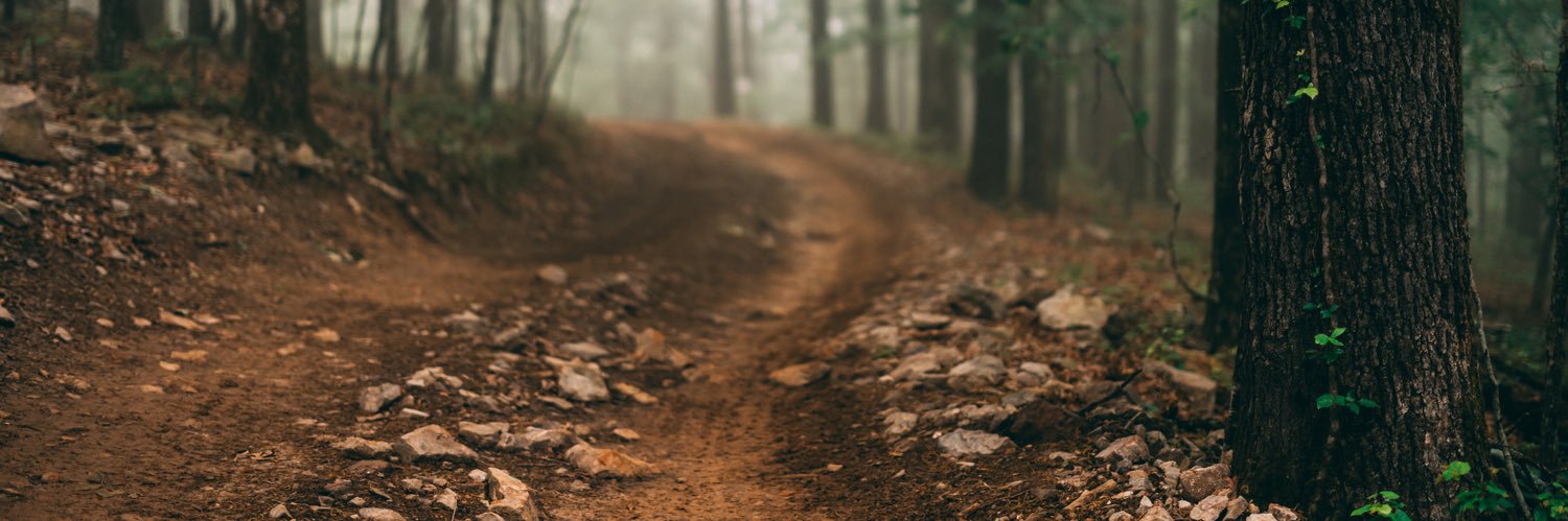 TonyMellinger's profile banner image
