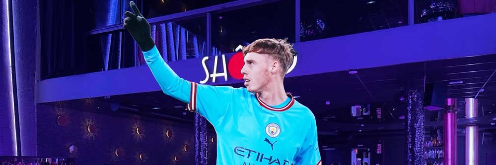 V F A's banner