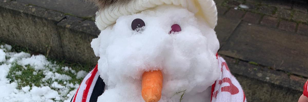 Susie_Bell's profile banner image