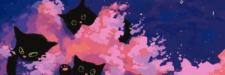 vyaoutw's profile banner image