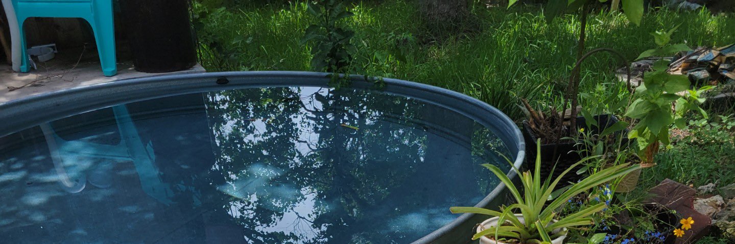 spagoddesss's profile banner image