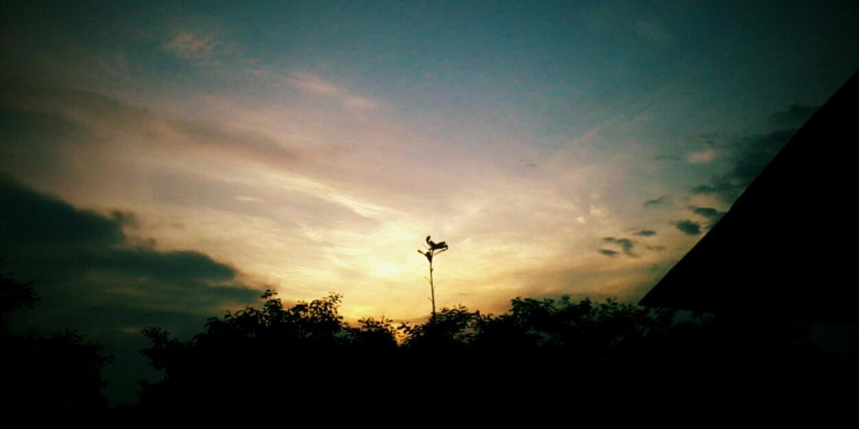 nooplek's profile banner image