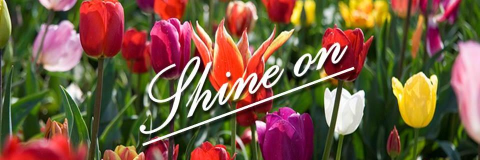mrinalasingh's profile banner image