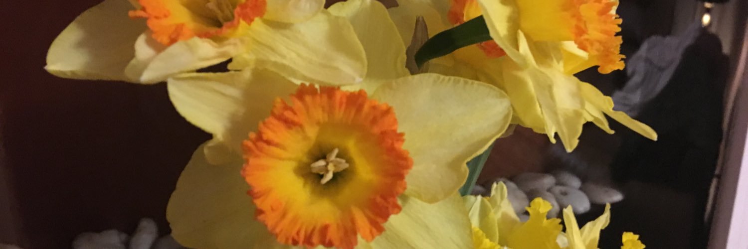 pammiles's profile banner image