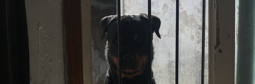 Mattiarandaa's profile banner image