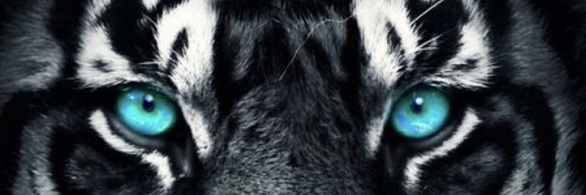 TonytheTiger57's banner