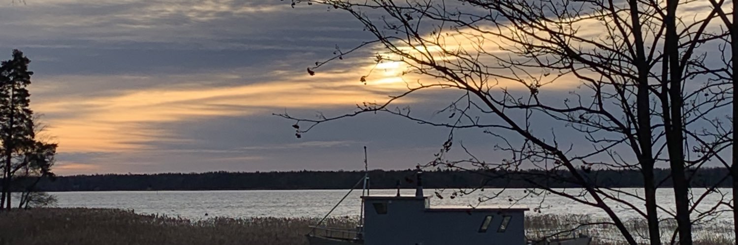 matildapeitsaro's profile banner image
