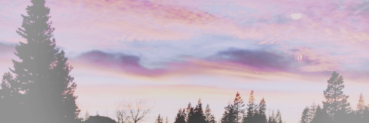 whereliam's profile banner image