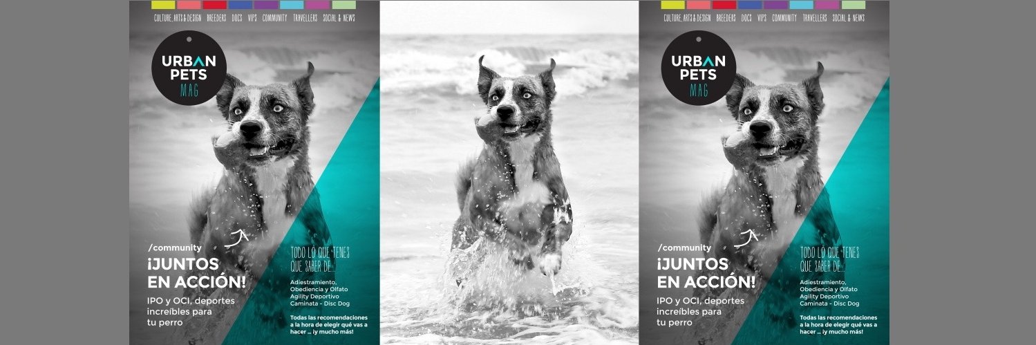 UrbanPetsMag's profile banner image