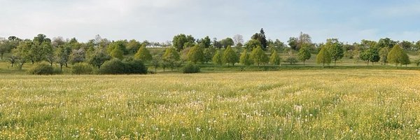 m00niper Profile Banner