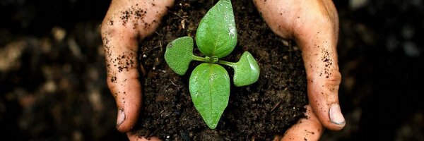 TeaScene Profile Banner