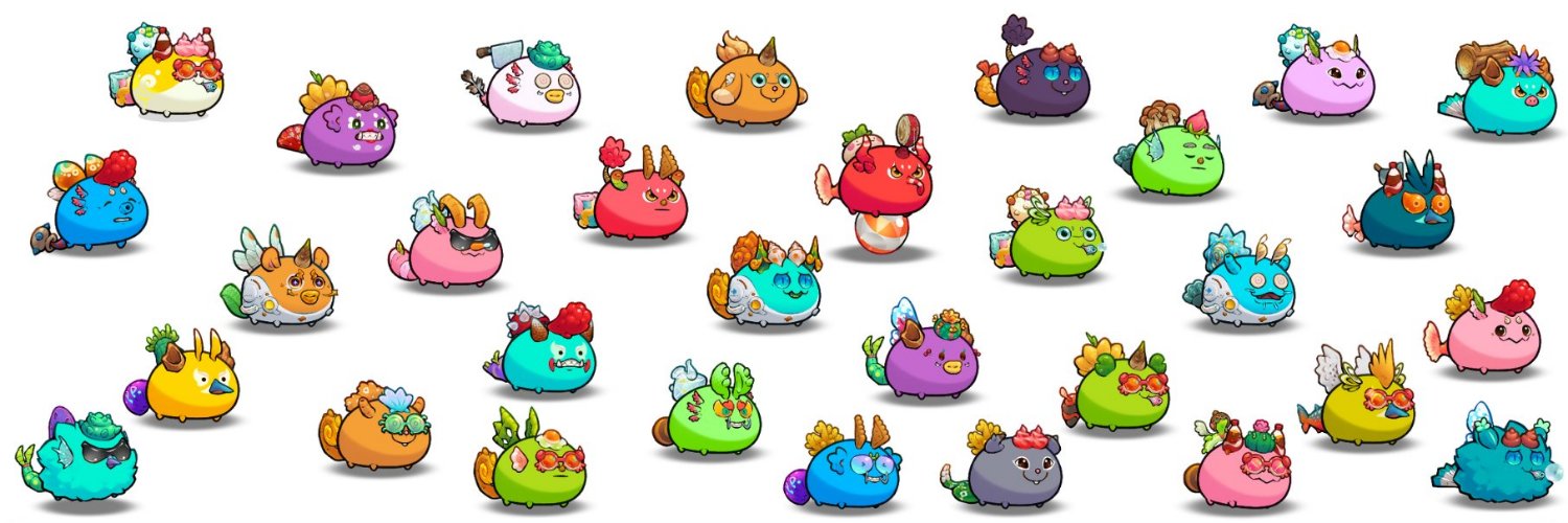 jaaron.ron | KIND | REJOICE banner