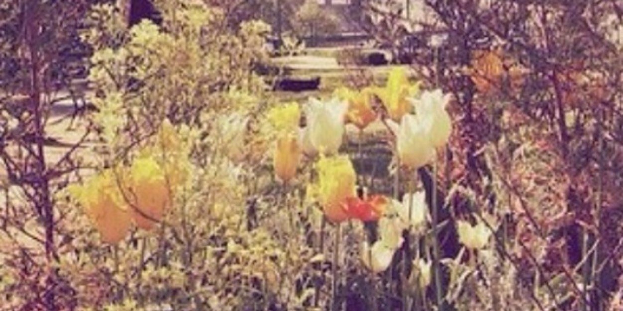 DancerPointe6's profile banner image