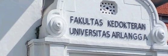 ˚⋅ ꪆৎ maca²⁵ ☤ •｡ banner