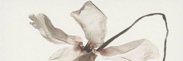 j4cob179 Profile Banner