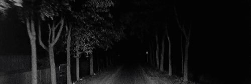 Iccecreeam's profile banner image