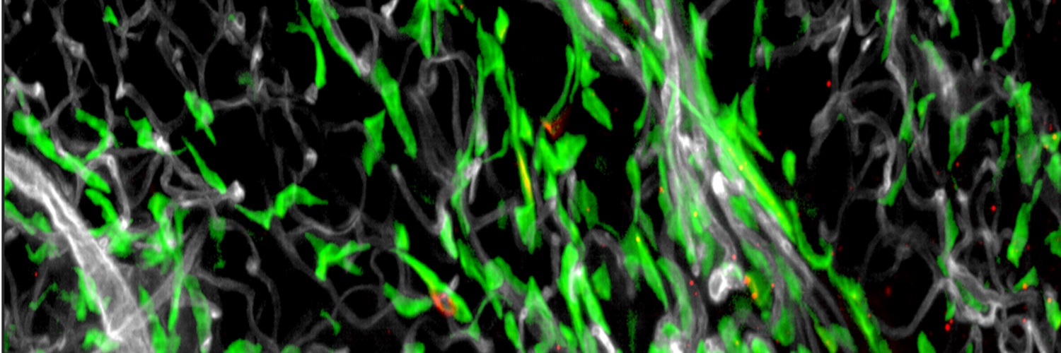 Ivanov lab's banner