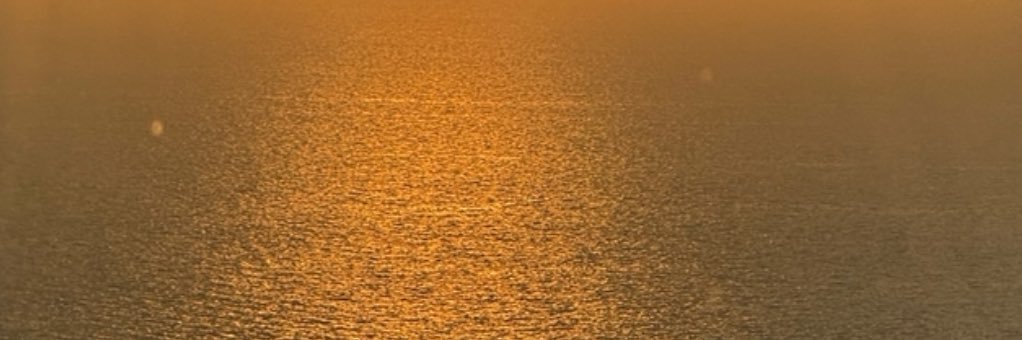 🍒 banner