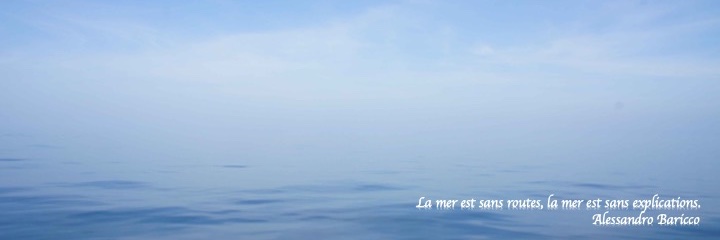 Maria Luiza Pedrotti banner