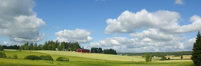 ᚾᛋ-ᚠᛁᚾᚾ 🇫🇮 banner