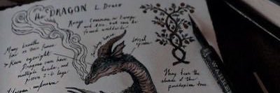 𝘗𝘳𝘰𝘧. 𝘏𝘢𝘳𝘳𝘪𝘦𝘵 𝘞𝘪𝘭𝘥𝘦 banner