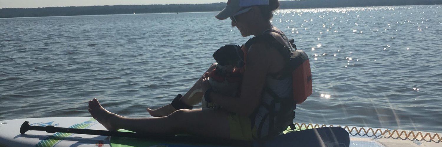 ColleenLerro's profile banner image