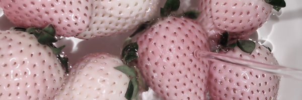 pyocco_monm0 Profile Banner