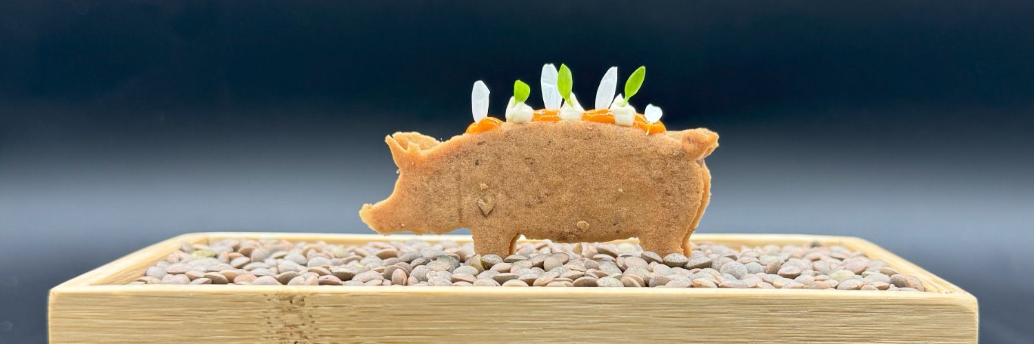 Concurso Nacional de Pinchos y Tapas banner