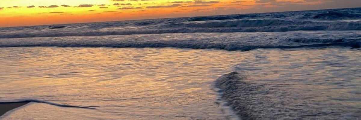 🦋 banner