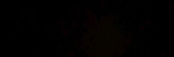 ness's banner