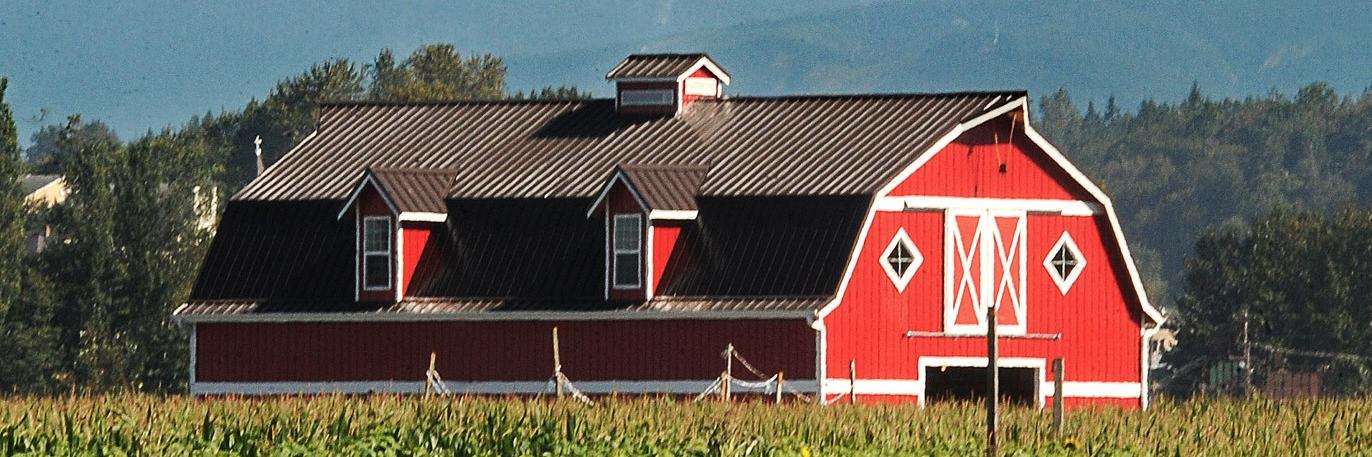 stockerfarms's profile banner image