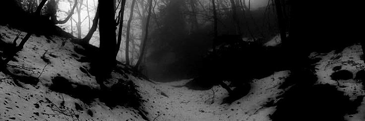 HE_D13D's profile banner image