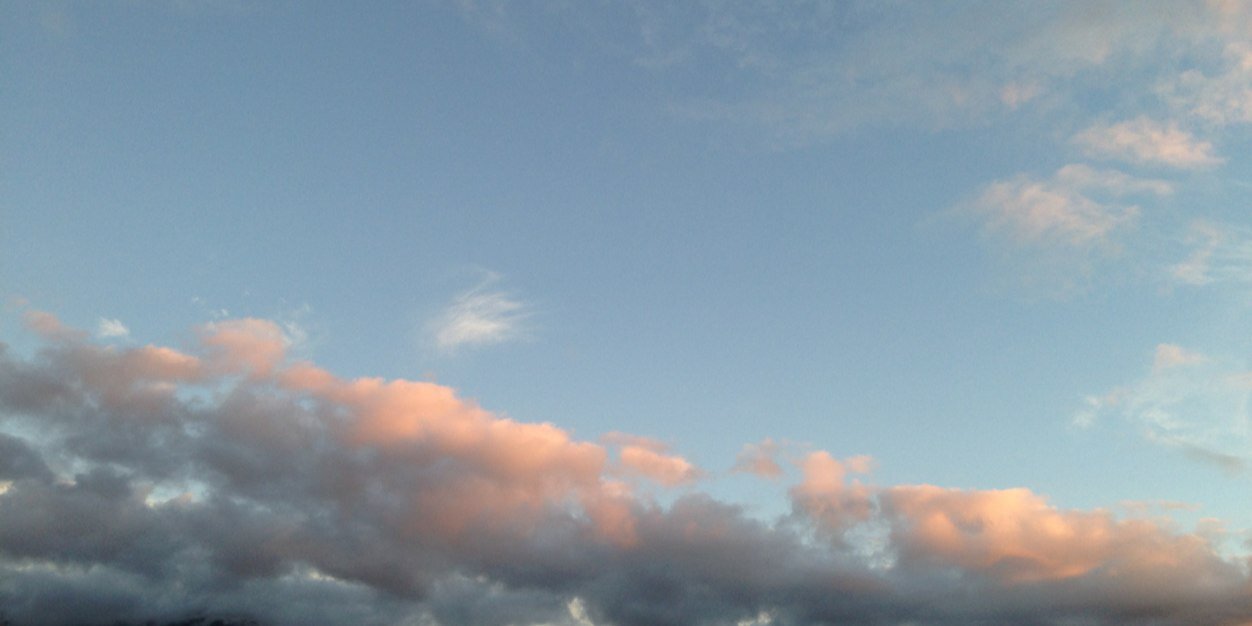 Nicole McDougal banner