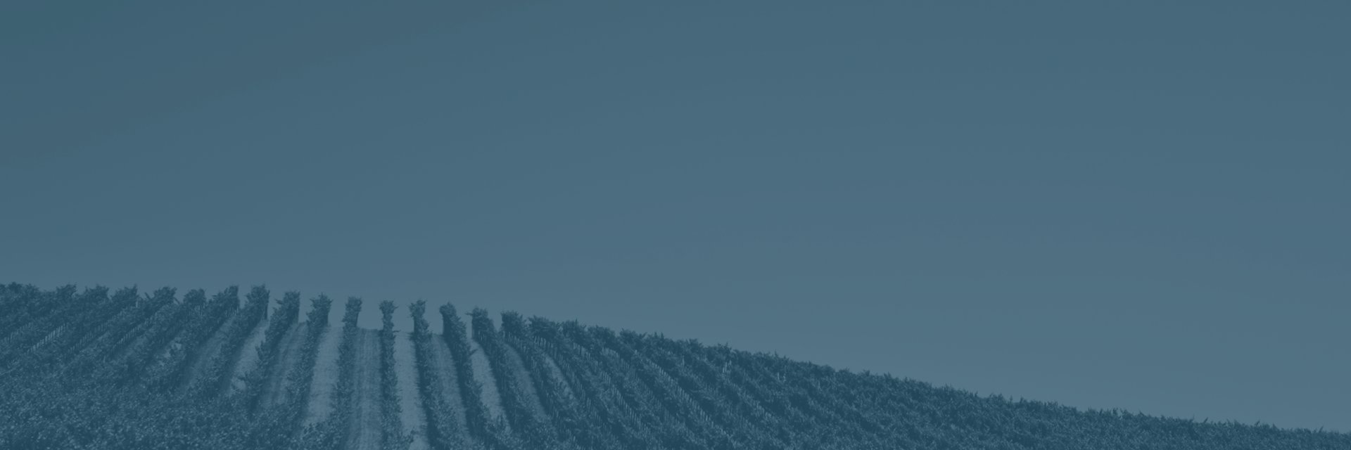 CapFamilyBus's profile banner image