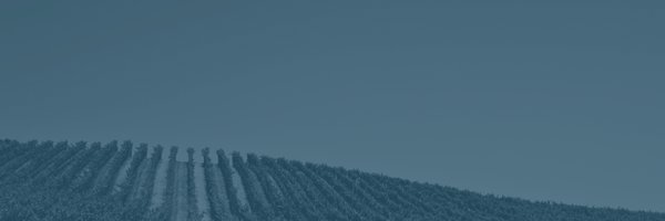 CapFamilyBus Profile Banner