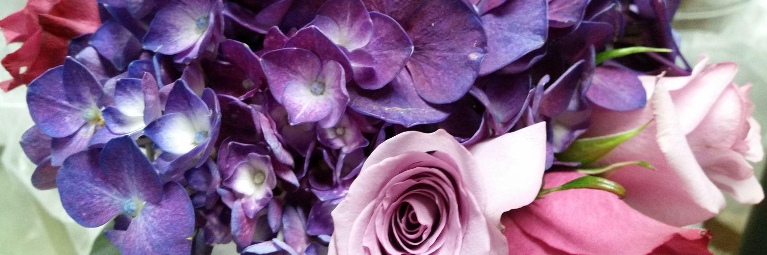lauratonner12's profile banner image