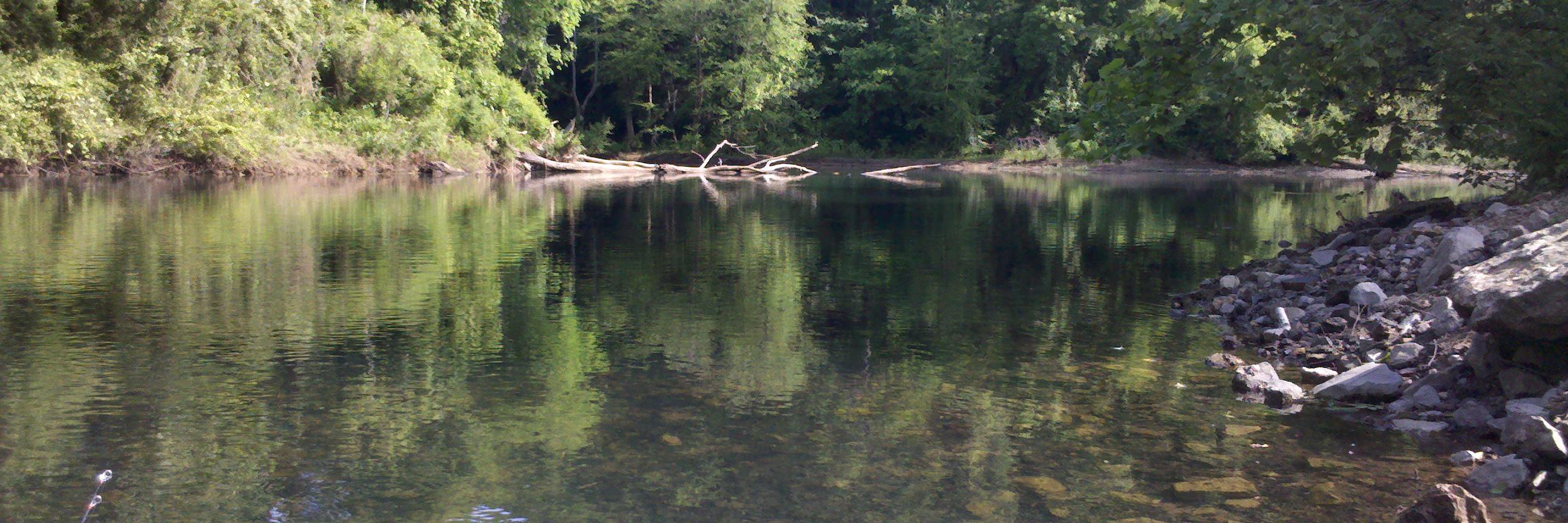 Legendary Wish banner