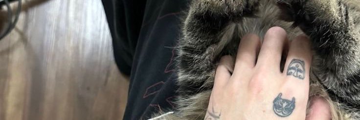 jaellypaws's profile banner image