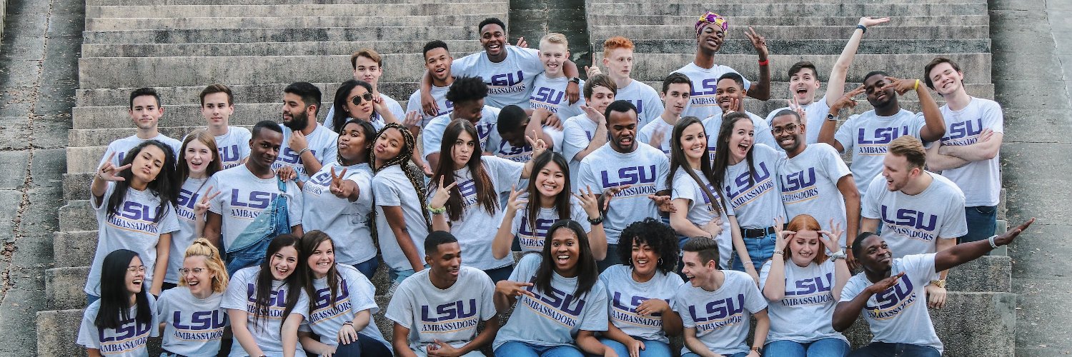 LSU Ambassadors banner