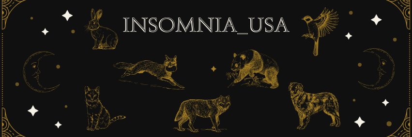 USA InSomnias's banner