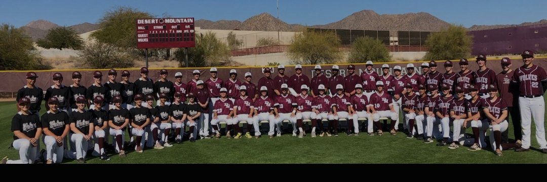 Desert Mountain Baseball banner