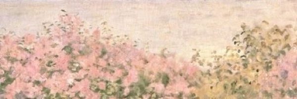 lizzierexiic Profile Banner