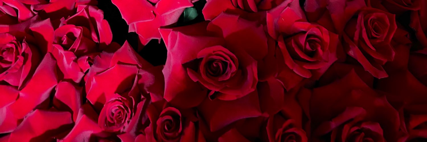 sincerelykixo's profile banner image
