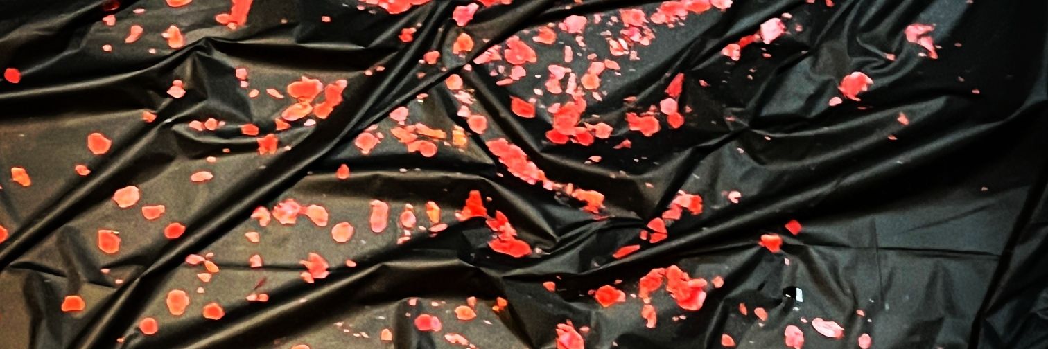domchuandom's profile banner image