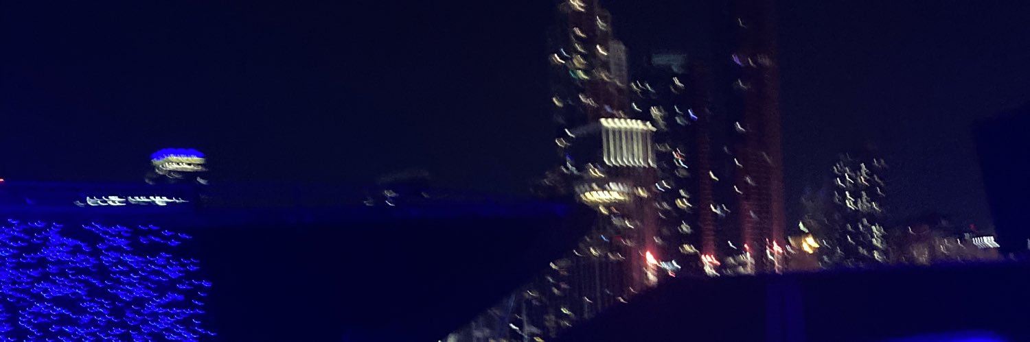 Sophie's banner