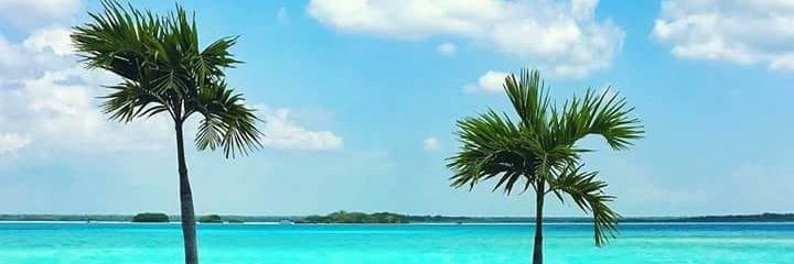 MaryrossMoreno's profile banner image