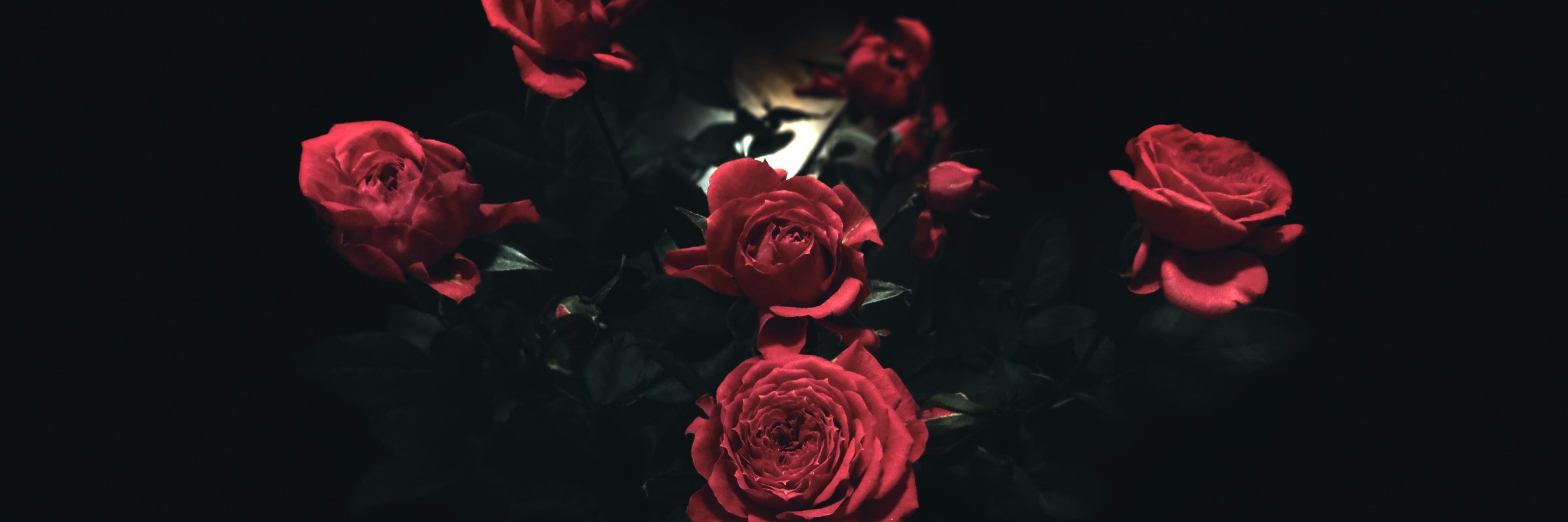 Thom K. Musgrove banner